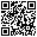 ico06